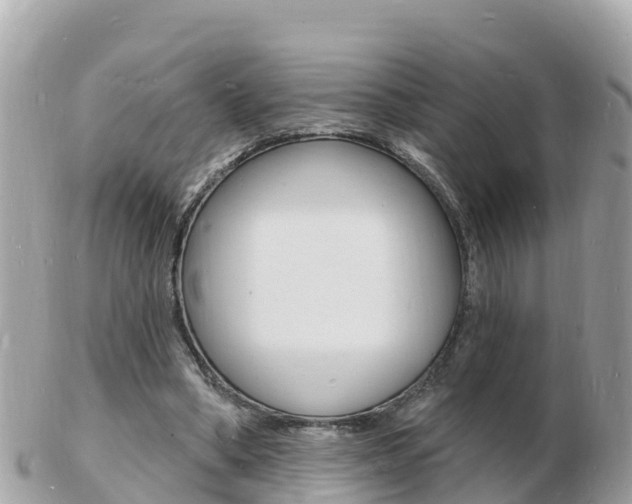 X0000103300394200808291135