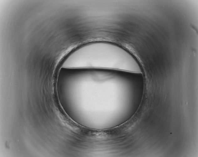 X0000103300395200808291135