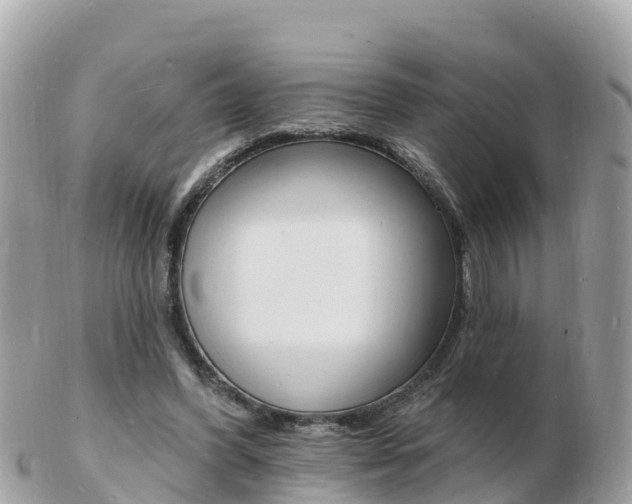 X0000103300396200808291135