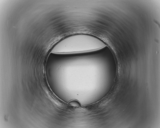 X0000103300397200808291135