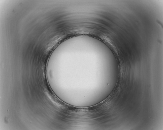 X0000103300398200808291135
