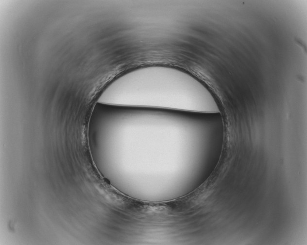 X0000103300401200808291135