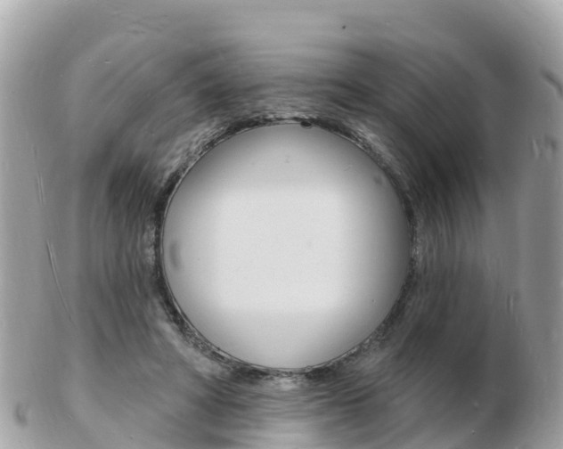 X0000103300402200808291135