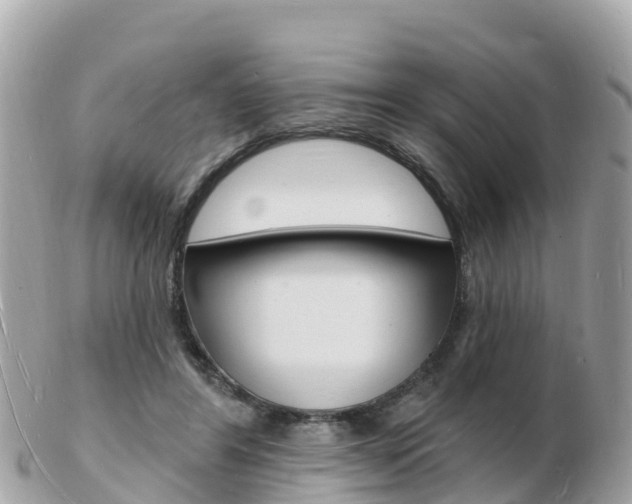 X0000103300404200808291135