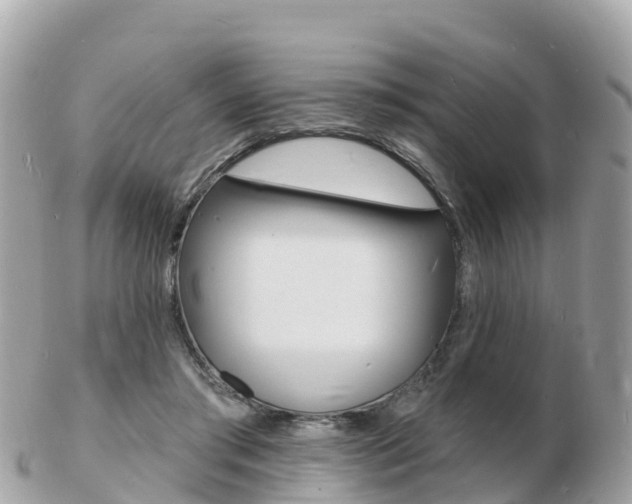 X0000103300405200808291135
