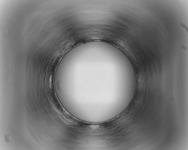 X0000103300406200808291135
