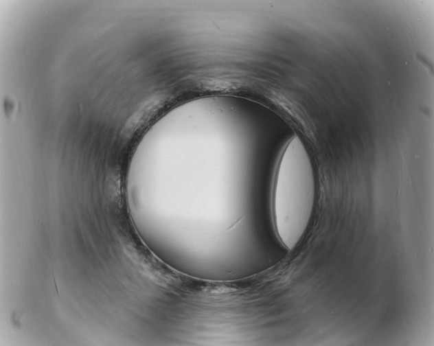 X0000103300407200808291135