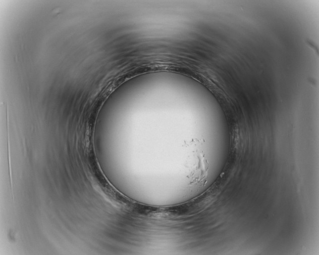 X0000103300408200808291135