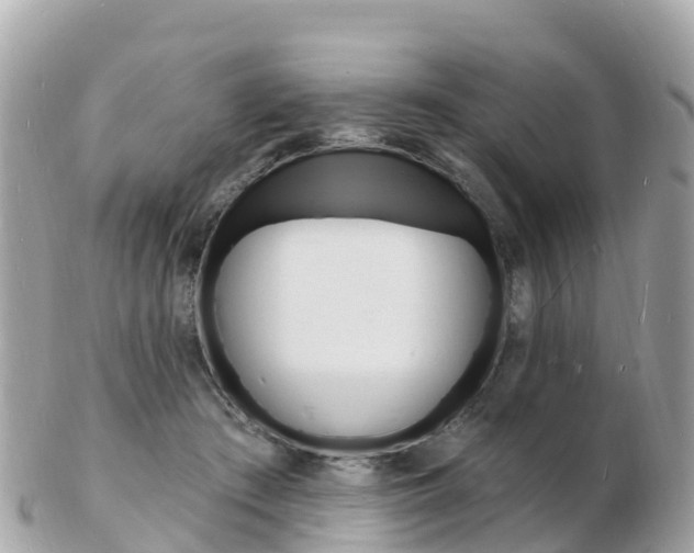 X0000103300409200808291135