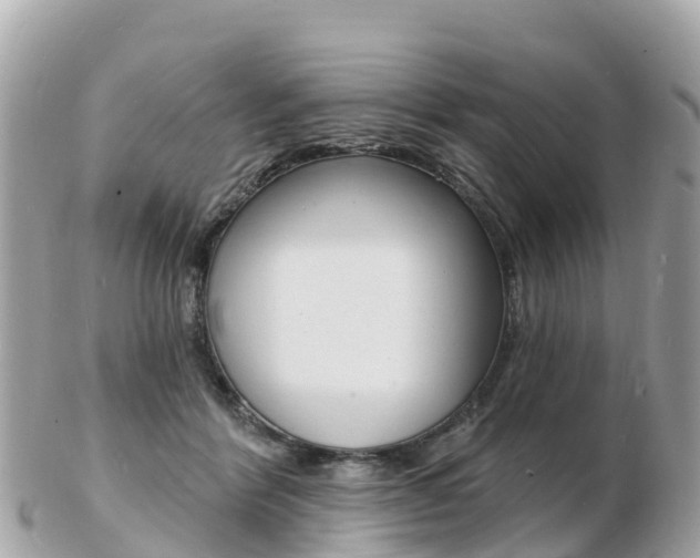 X0000103300412200808291135