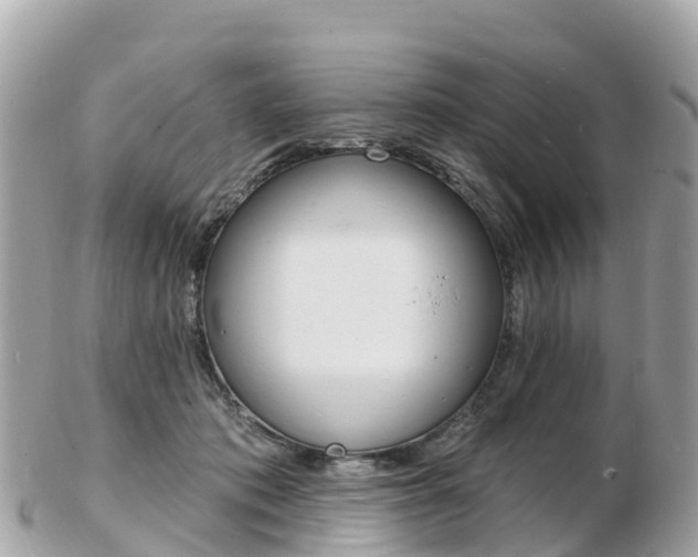 X0000103300413200808291135