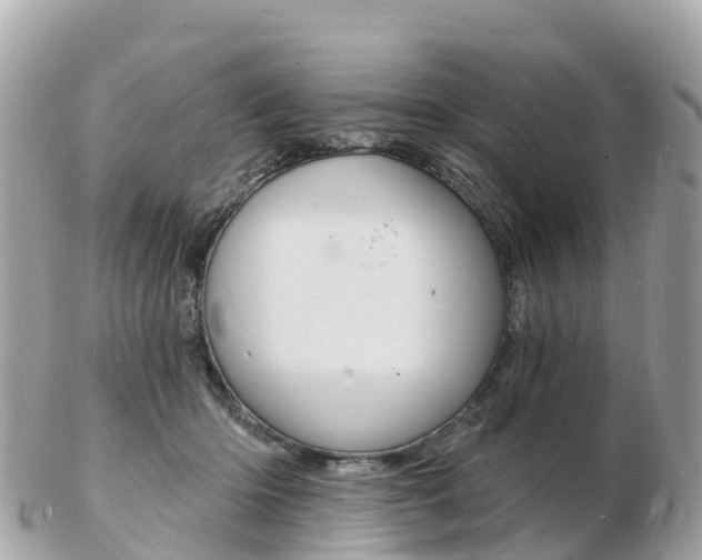 X0000103300414200808291135