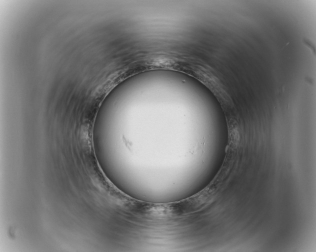 X0000103300415200808291135