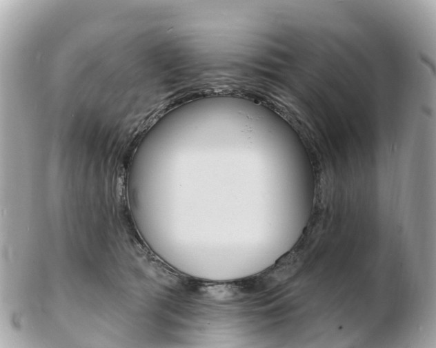 X0000103300417200808291135