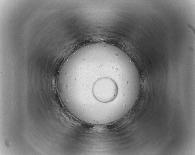 X0000103300418200808291135