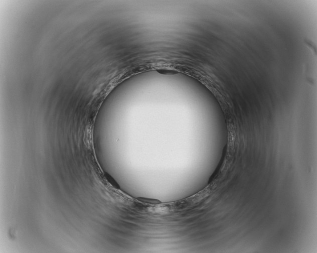 X0000103300419200808291135