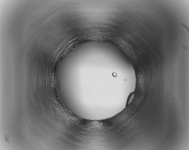 X0000103300421200808291135
