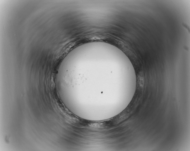 X0000103300422200808291135