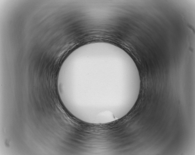 X0000103300423200808291135