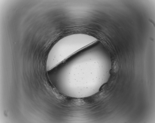 X0000103300424200808291135
