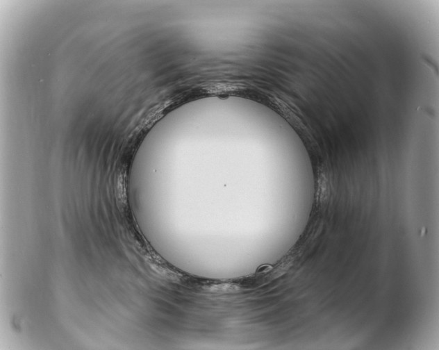 X0000103300426200808291135