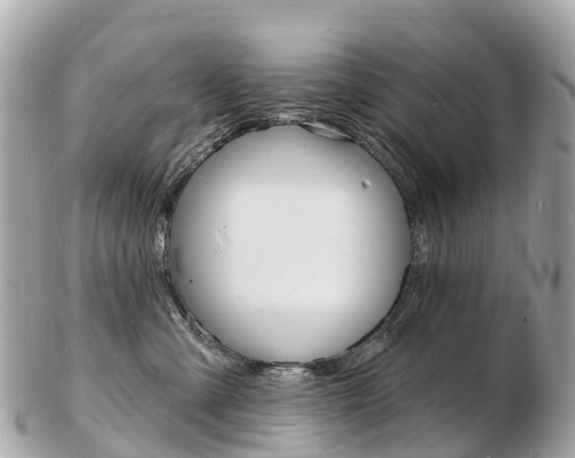 X0000103300427200808291135