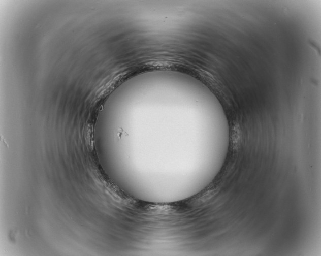 X0000103300428200808291135