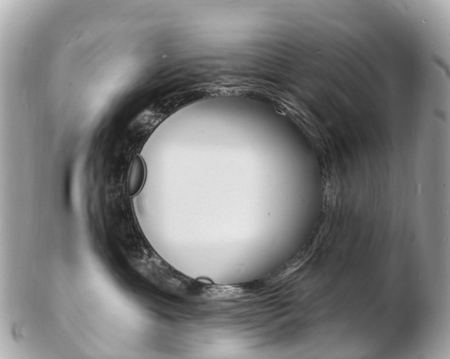 X0000103300429200808291135