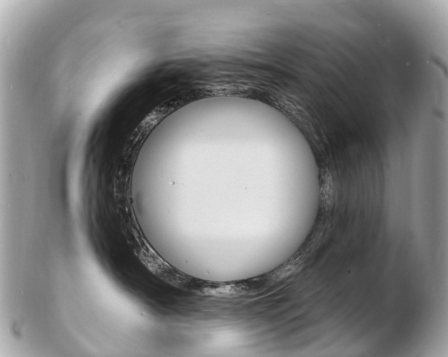 X0000103300430200808291135