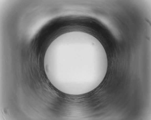 X0000103300431200808291135