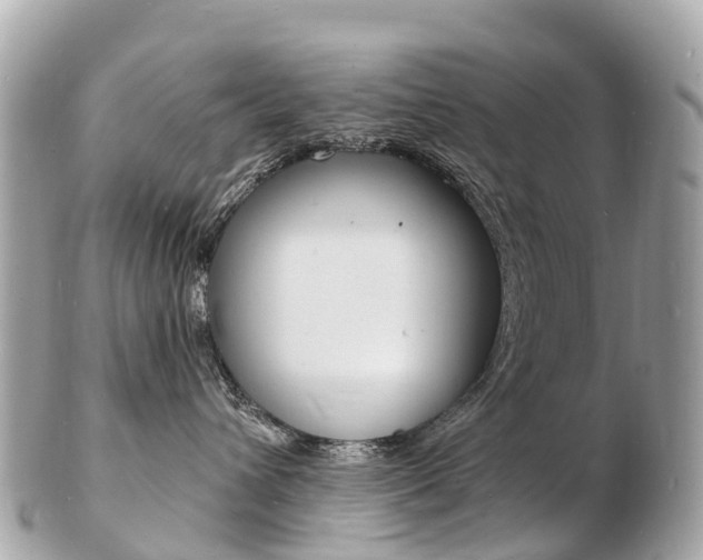 X0000103300432200808291135