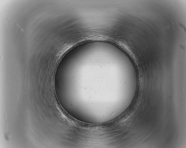 X0000103300433200808291134