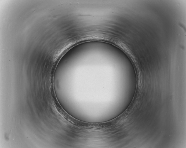 X0000103300434200808291134