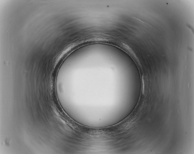 X0000103300435200808291134