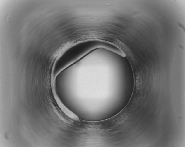 X0000103300436200808291134