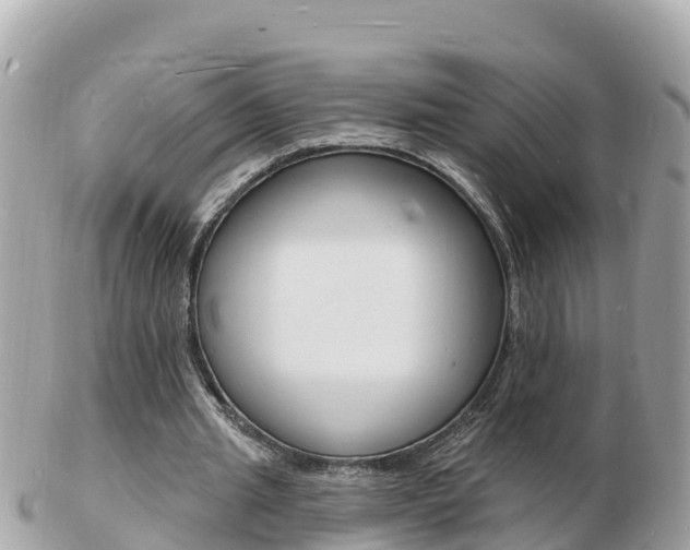 X0000103300437200808291134