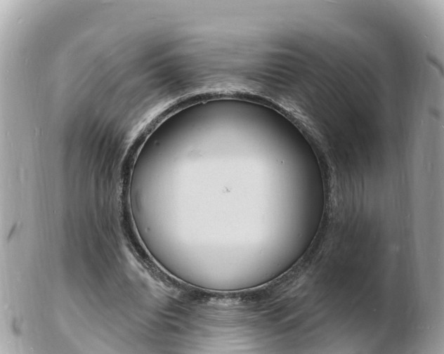 X0000103300440200808291134
