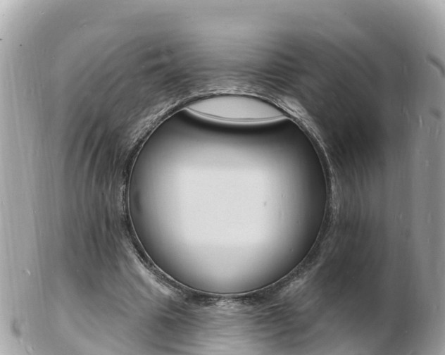 X0000103300441200808291134