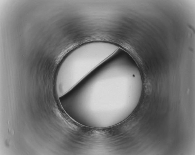 X0000103300442200808291134