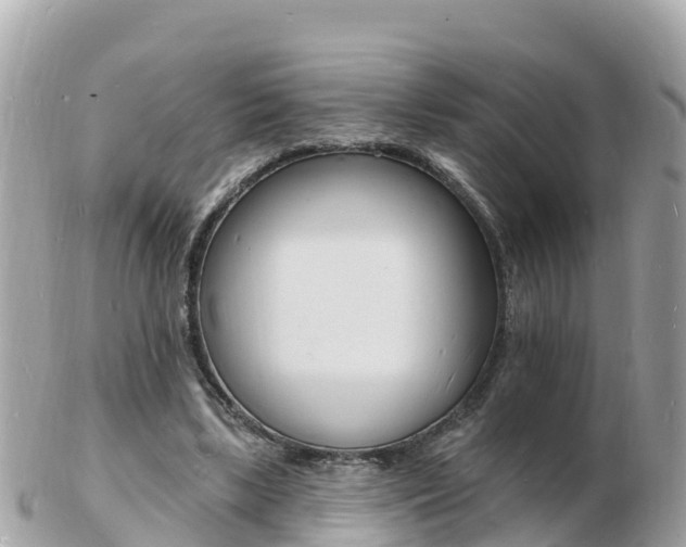 X0000103300443200808291134
