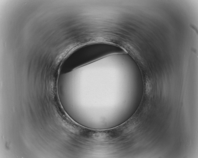 X0000103300444200808291134