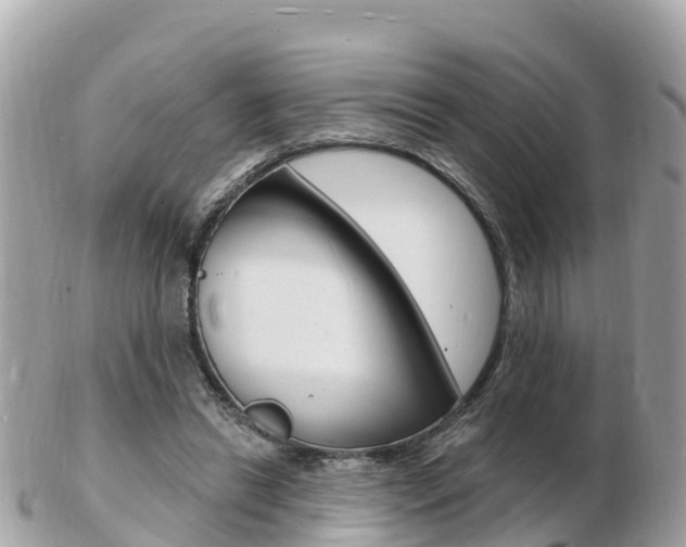 X0000103300446200808291134