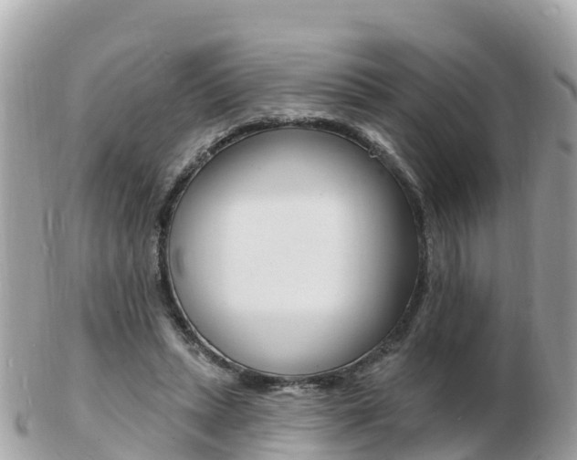 X0000103300447200808291134