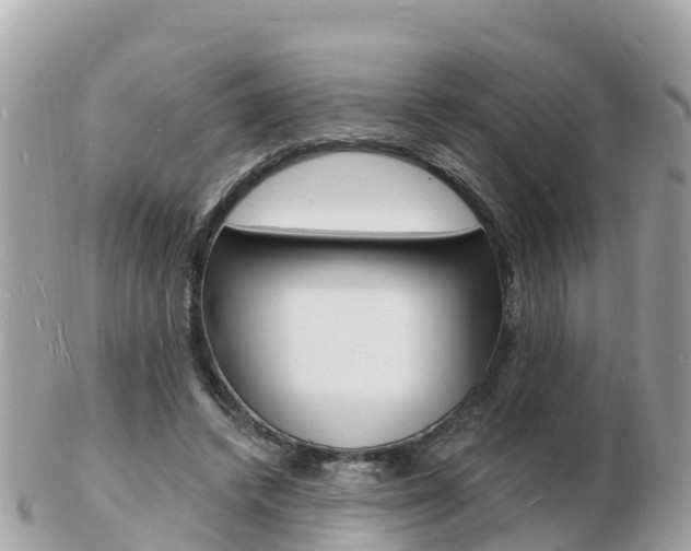 X0000103300448200808291134