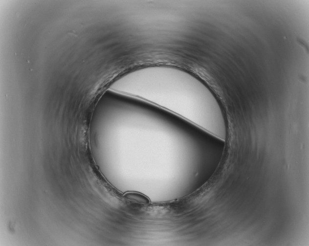 X0000103300449200808291134