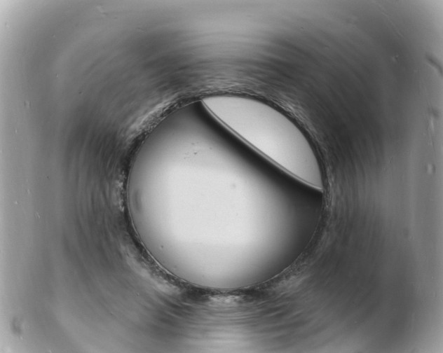 X0000103300450200808291134
