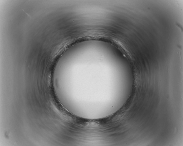 X0000103300451200808291134