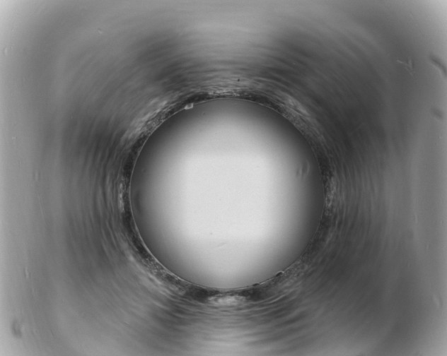 X0000103300452200808291134