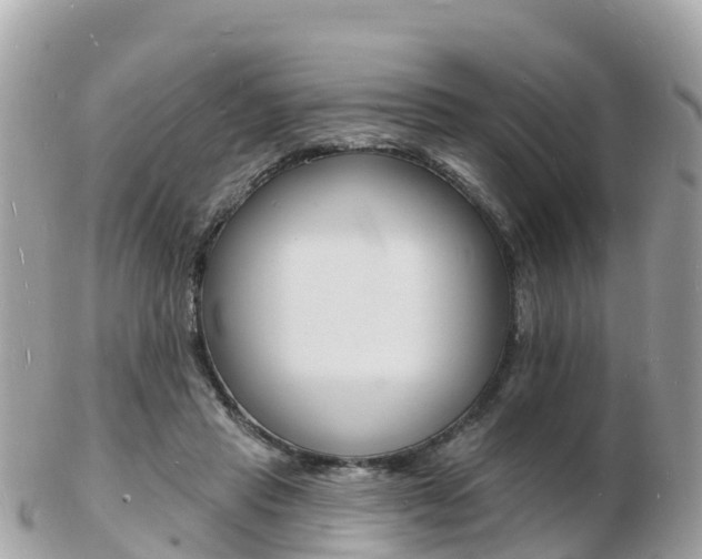 X0000103300453200808291134
