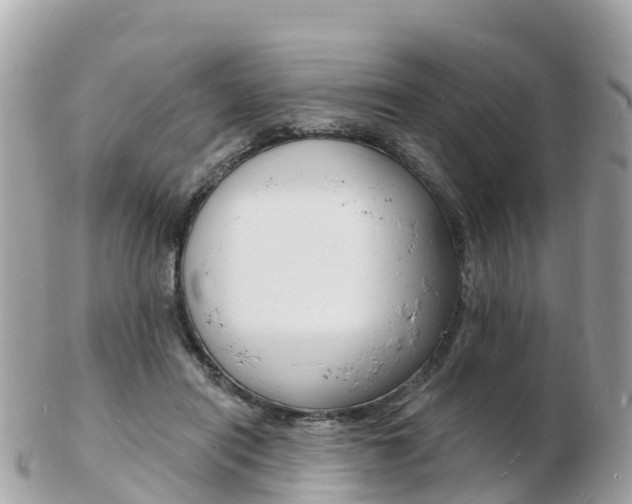 X0000103300454200808291134